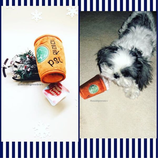 dog-bark-box-collection-subcription-box-plush-pluggin-spice-latte-toy