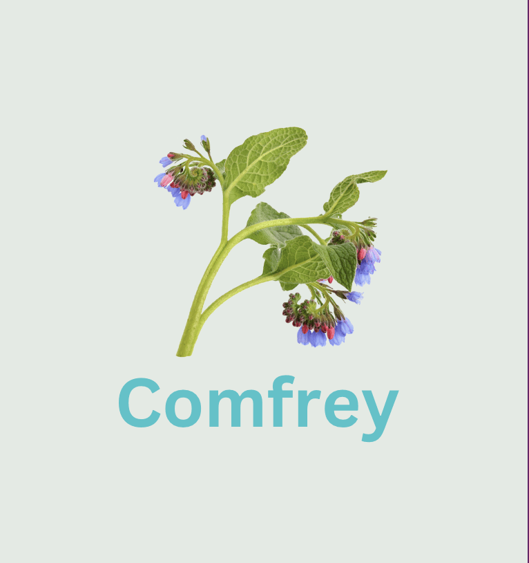 Comfrey-Collagen-Booster