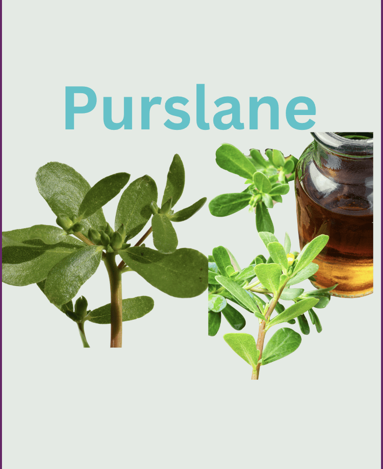 Purslane-Collagen-Booster