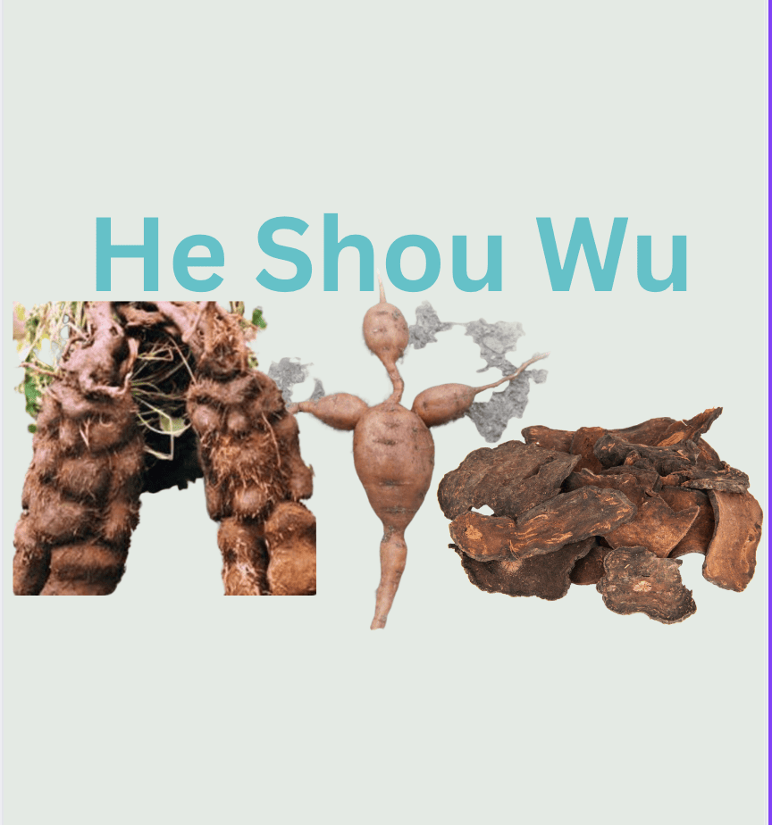 He-Shou-Wu-Collagen-Booster-Foti